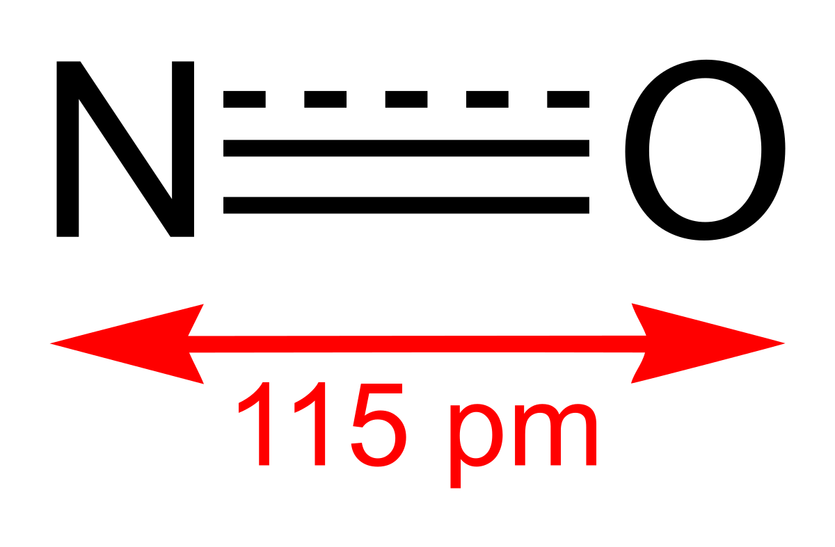 Nitric Oxide