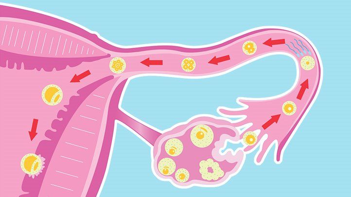 Progesterone