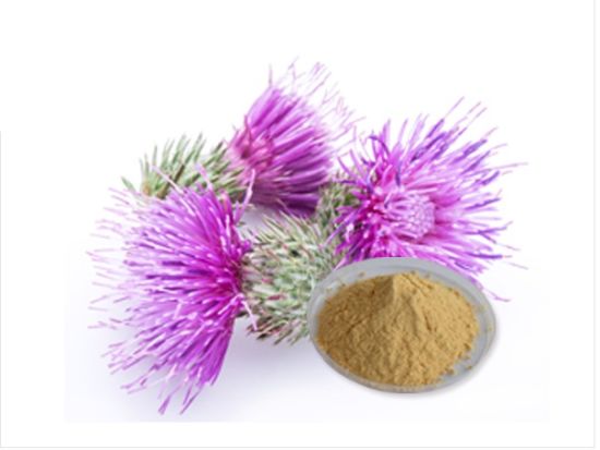 Silymarin Extract Milk Thistle