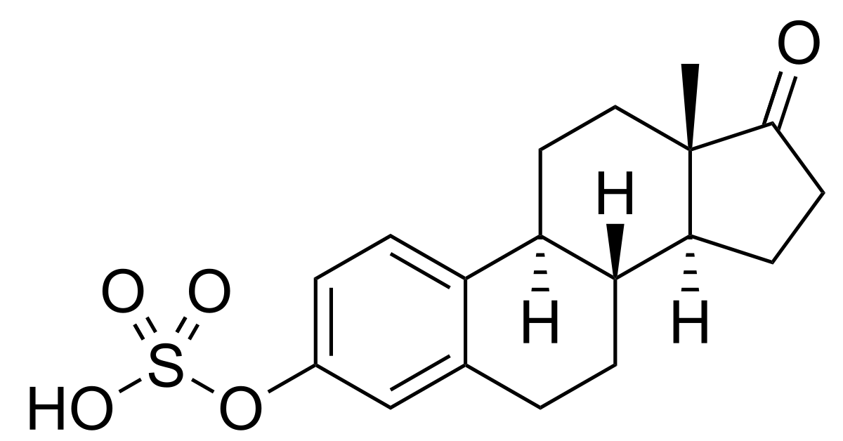 Equine estrogens