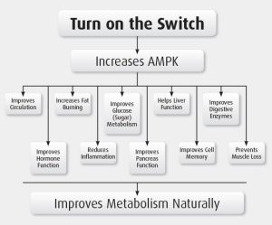 Increase AMPK